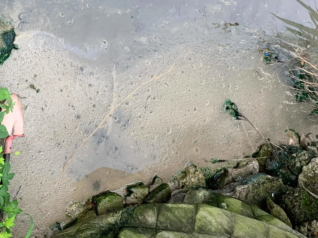 微信图片_20220602151120.jpg 图片